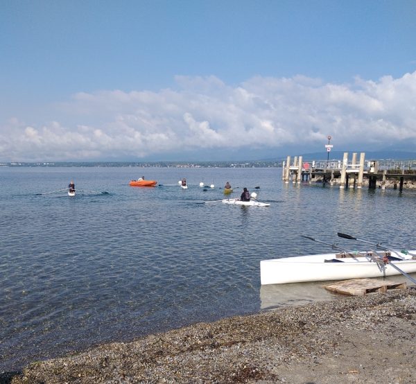 Stage journée Aviron Voile – Image 3